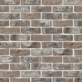 Leonardo Stone, Дижон 403