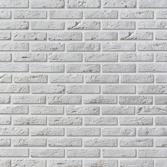Leonardo Stone, Париж 100