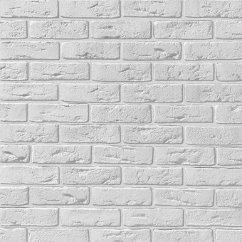 Leonardo Stone, Дижон 100