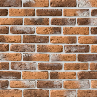 Leonardo Stone, Мадрид 485