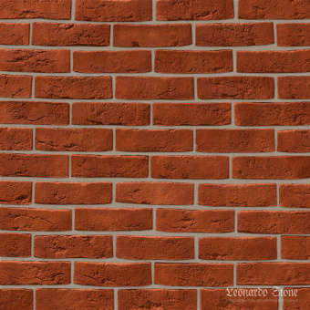 Leonardo Stone, Дижон 776