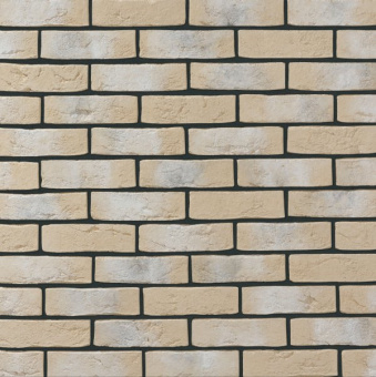Leonardo Stone, Дижон 052