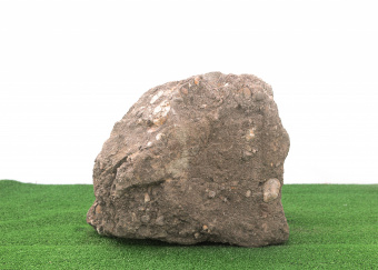 Скальник 
