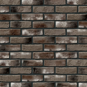 Leonardo Stone, Дижон 465