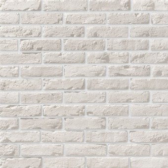 Leonardo Stone, Прованс 404