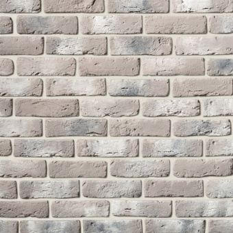 Leonardo Stone, Орлеан 403