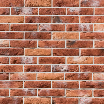 Leonardo Stone, Прованс 490