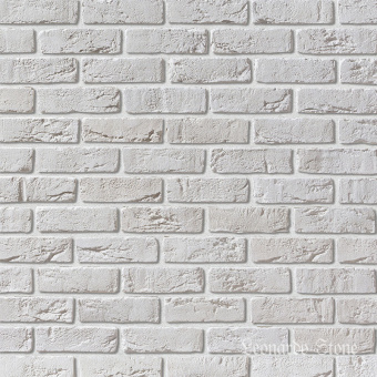 Leonardo Stone, Орли 100,гипс