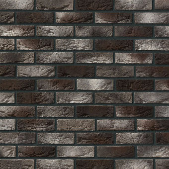 Leonardo Stone, Авиньон 465