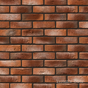 Leonardo Stone, Дижон 490
