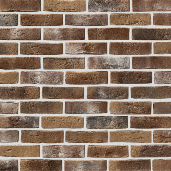 Leonardo Stone, Дижон 402