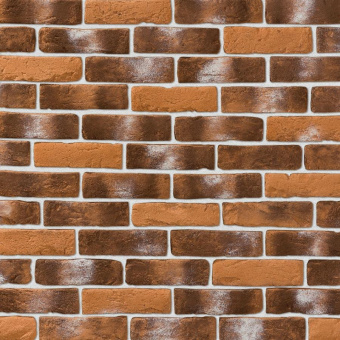 Leonardo Stone, Орлеан 485