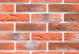 Leonardo Stone, Париж 480