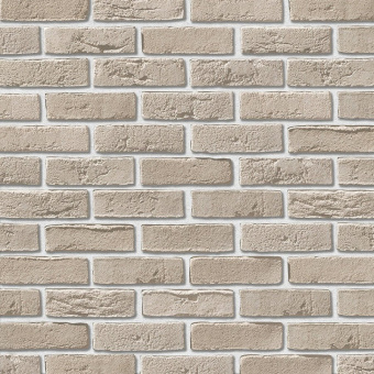 Leonardo Stone, Дижон 404